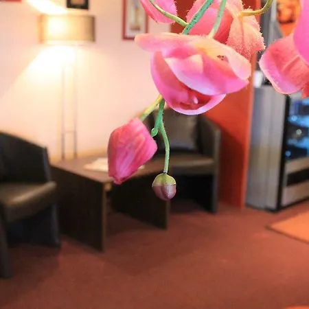 Ξενοδοχείο Quick Palace 2*